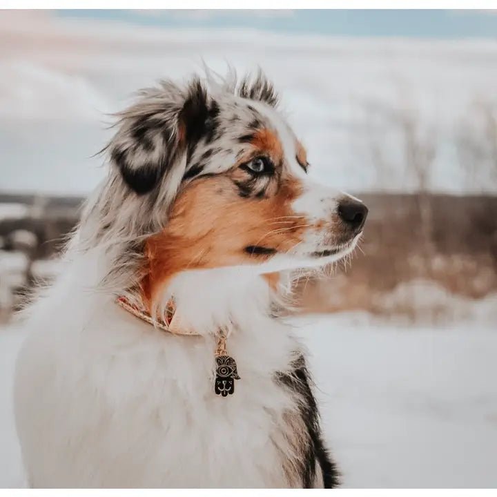 médaille gravée pour chien personnalisable hamsa – DOG DéliCAT