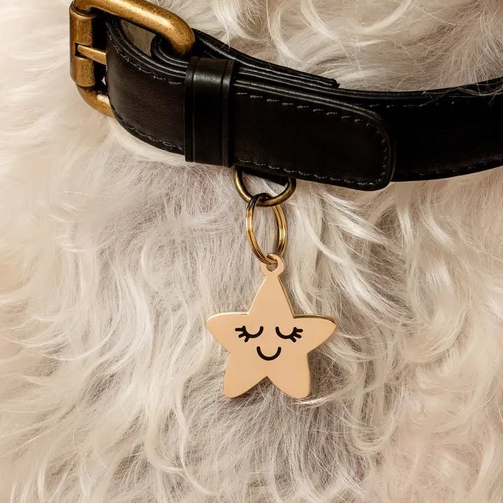 Médaille gravée pour chien personnalisable Smiling Star - TWO TAILS PET CIE - DOG DéliCAT