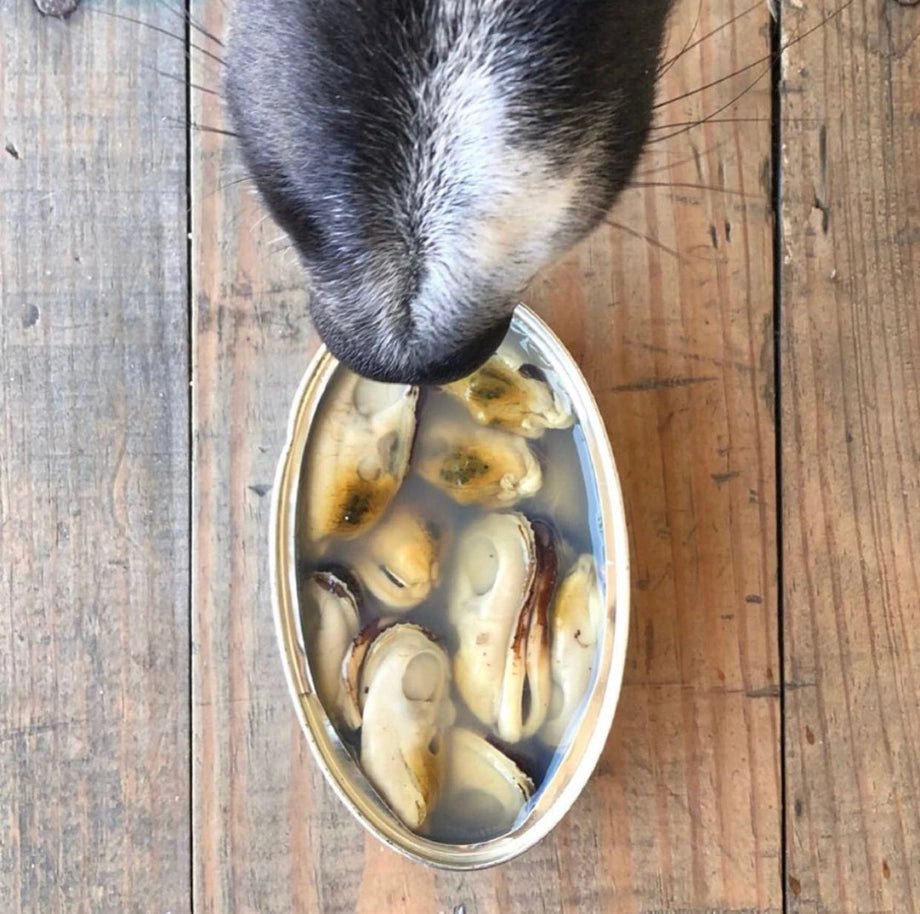 Moules à lèvres vertes naturelles pour chiens - CANUMI - DOG DéliCAT