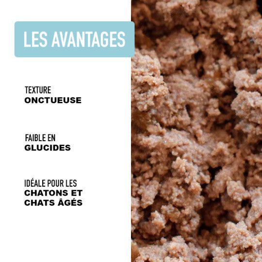 Mousse chat sans céréales – Volaille & thon – Texture aérienne (200g) - ATAVIK - DOG DéliCAT