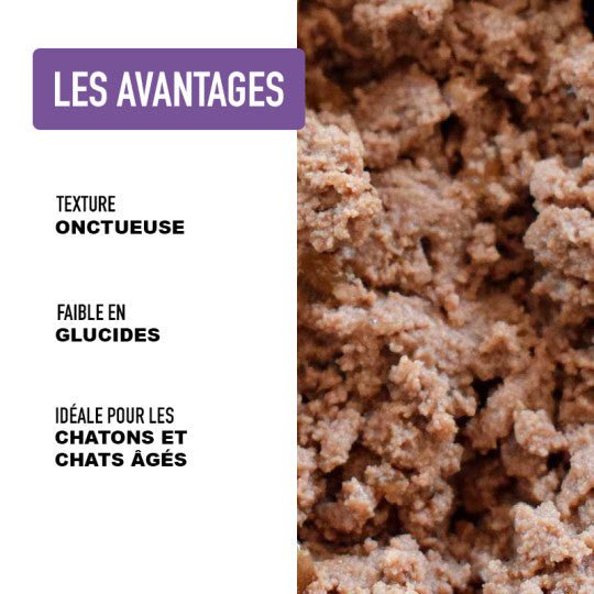 Mousse pour chat sans céréales – Poulet & saumon – Texture ultra légère (200g) - ATAVIK - DOG DéliCAT