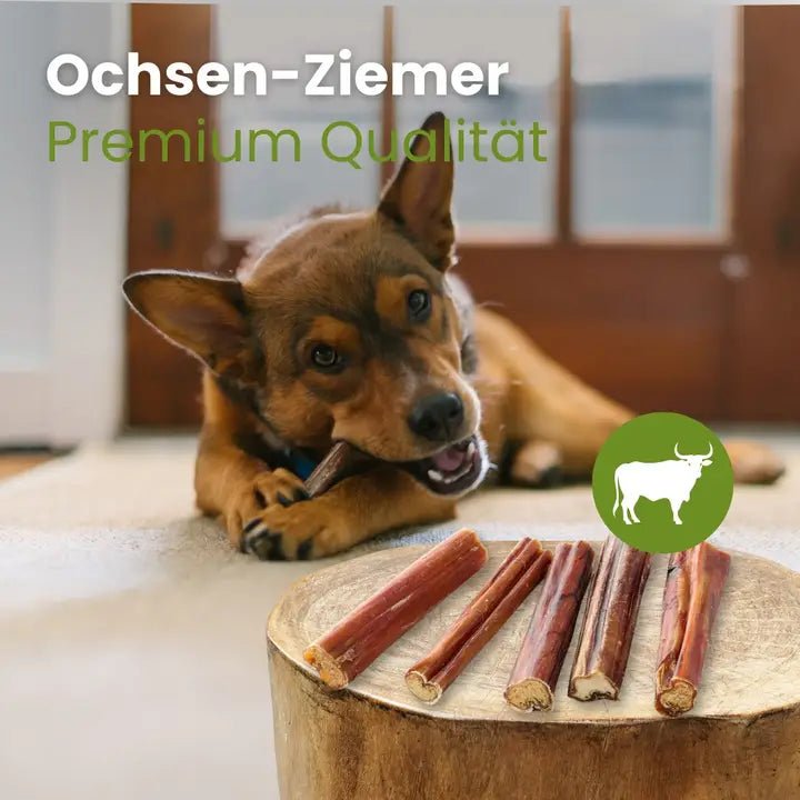 Nerf de bœuf premium pour chien 30 cm – sans conservateurs - KAUARTIKEL - DOG DéliCAT