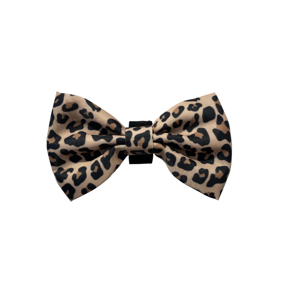 Noeud papillon pour chien - Arizona Hotdogs