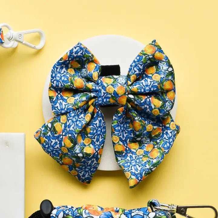 Nœud papillon pour chien Amalfi Lemon CocoPup London – CocoPup London – DOG DéliCAT