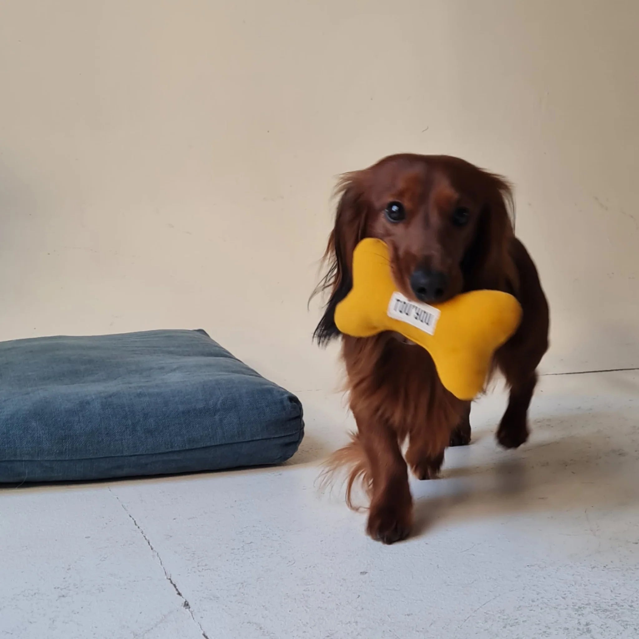 TOU'YOU - Jouet pour chien Nonos Jaune Curry