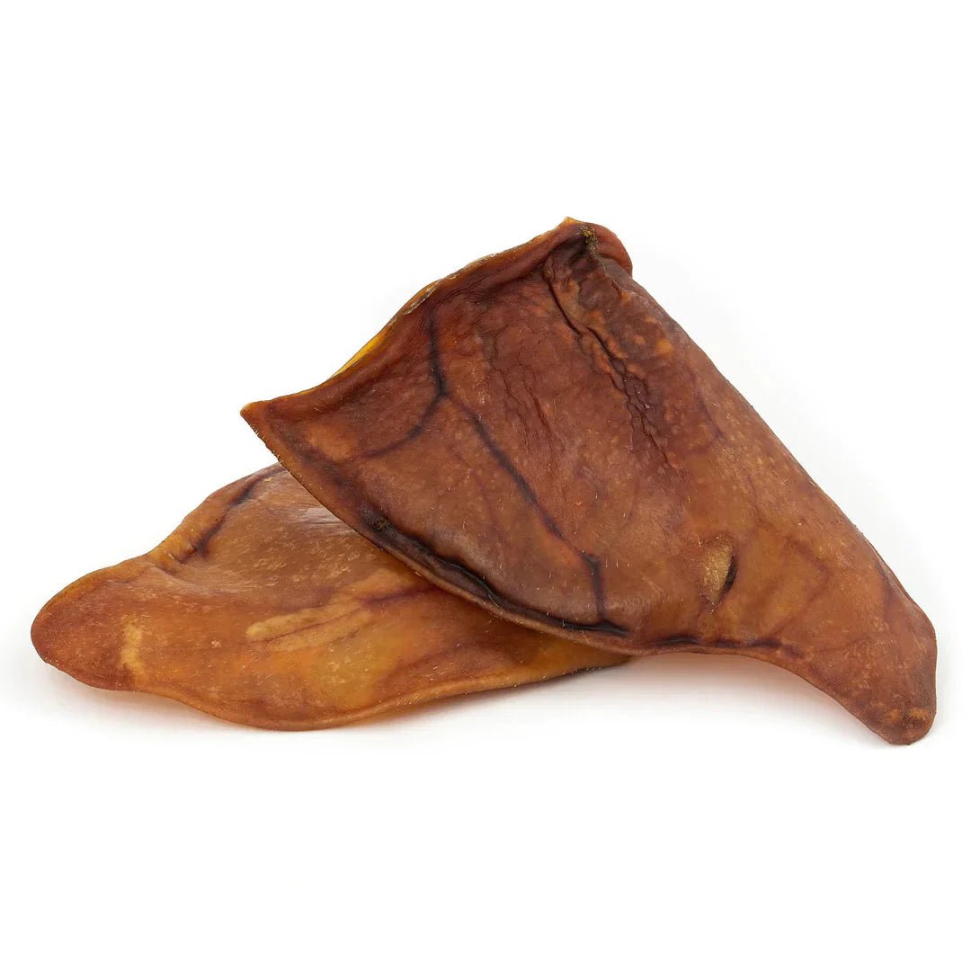 Oreilles de porc séchées 100 % naturelles SANADOG – Mastication gourmande (1 pièce) - SANA - DOG DéliCAT