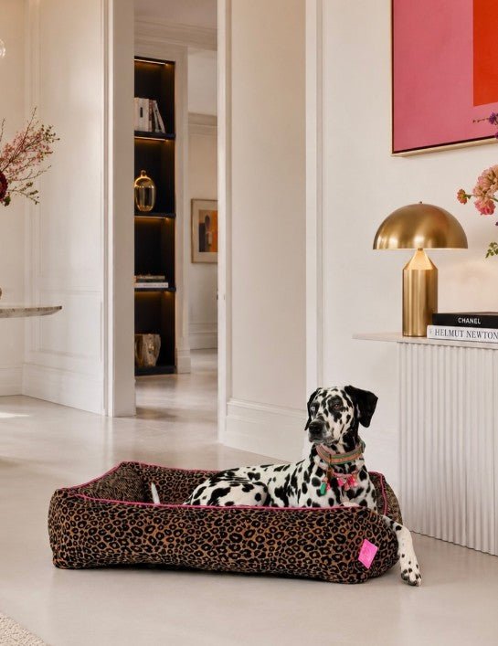 Panier pour chien Lazy Leopard DWAM en velours léopard – DOG DéliCAT