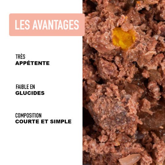 Pâtée chien Atavik – Dinde & Sanglier, potiron, sans céréales (200g) - ATAVIK - DOG DéliCAT
