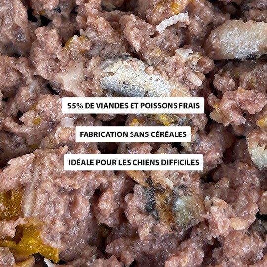 Pâtée chien - Terrine de Saumon riche en Sprat 400g - ATAVIK - DOG DéliCAT