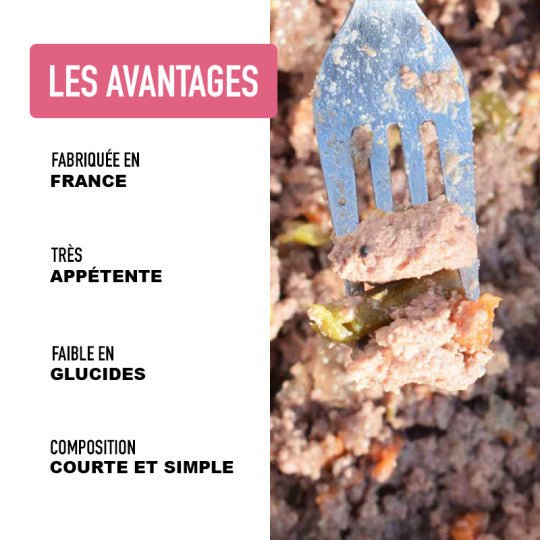 Pâtée chien - Terrine Porc riche en Dinde 400g Made in France - ATAVIK - DOG DéliCAT
