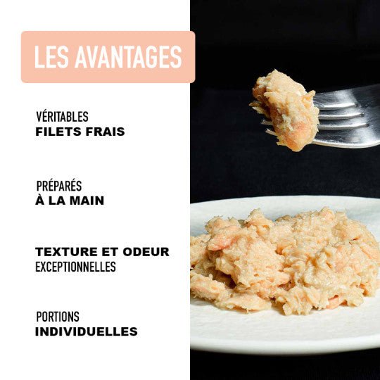 Pâtée pour chat - Filets de saumon 70g - ATAVIK - DOG DéliCAT