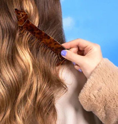 Peigne à cheveux Teckel Coucou Suzette – DOG DéliCAT
