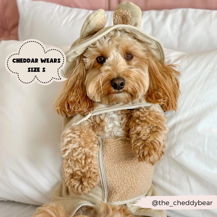 Peignoir de Séchage pour chiens Teddy - COCOPUP LONDON - DOG DéliCAT