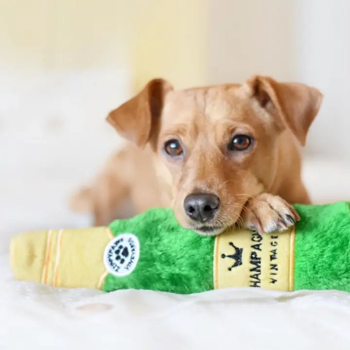 Peluche de Noël pour chien - Bouteille de Champagne Happy Hour Crusherz 🍾 - ZIPPY PAWS - DOG DéliCAT