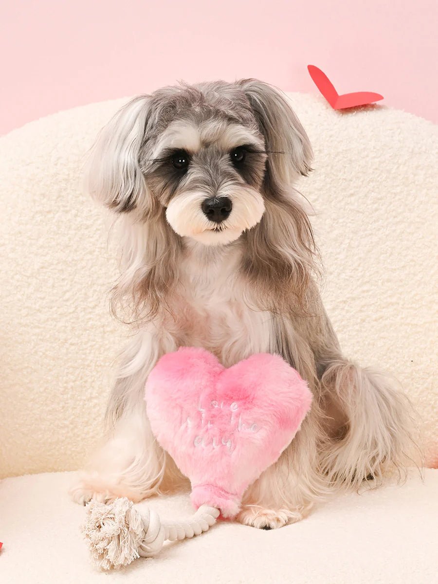 Peluche Love is in the Air ❤️ – Le jouet qui fait battre son cœur - HUG SMART - DOG DéliCAT