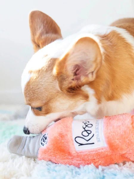 Peluche pour chien avec bouteille sifflante Happy Hour Crusherz Rosé Zippy Paws – Zippy Paws – DOG DéliCAT