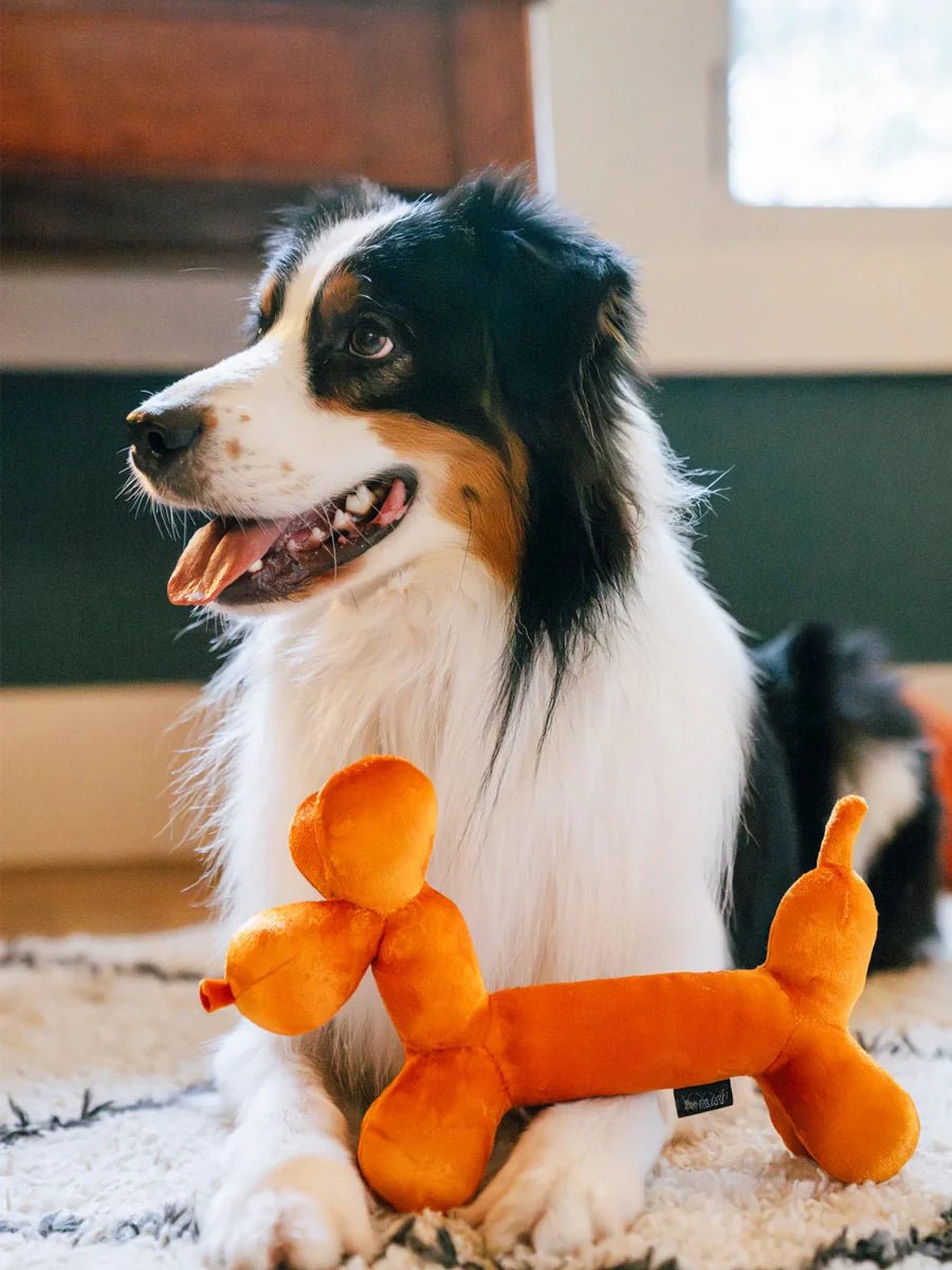 Peluche pour chien Ballon Party Animals Pet PLAY - PET PLAY - DOG DéliCAT