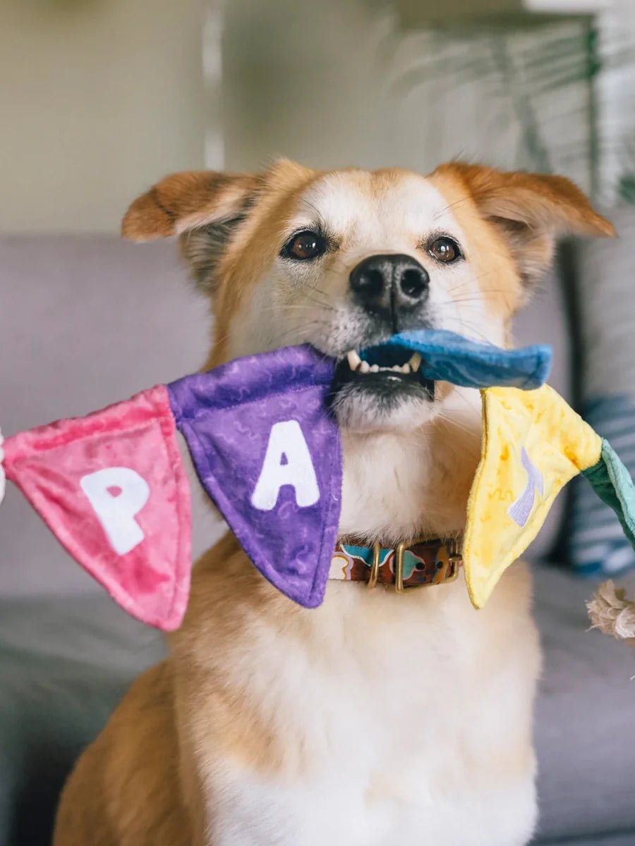 Peluche pour chien Banderole Party Animals Pet PLAY – Pet PLAY – DOG DéliCAT