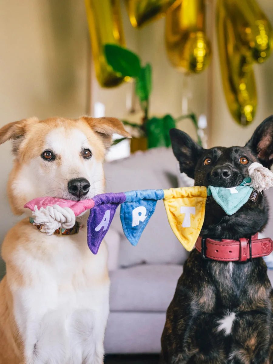 Peluche pour chien Banderole Party Animals Pet PLAY – Pet PLAY – DOG DéliCAT