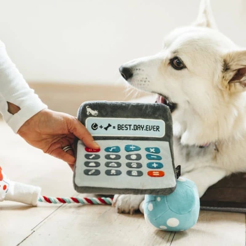 Peluche pour chien - Calculatrice 🧮 - PET PLAY - DOG DéliCAT