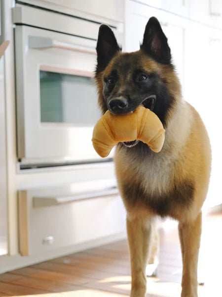 Peluche pour chien en forme de croissant - Pet PLAY Barking Brunch - PET PLAY - DOG DéliCAT