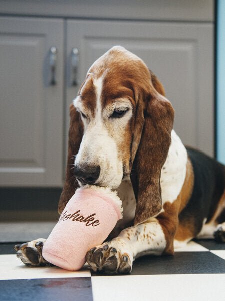 Peluche pour chien en forme de Milkshake - Pet PLAY doux et durable - PET PLAY - DOG DéliCAT