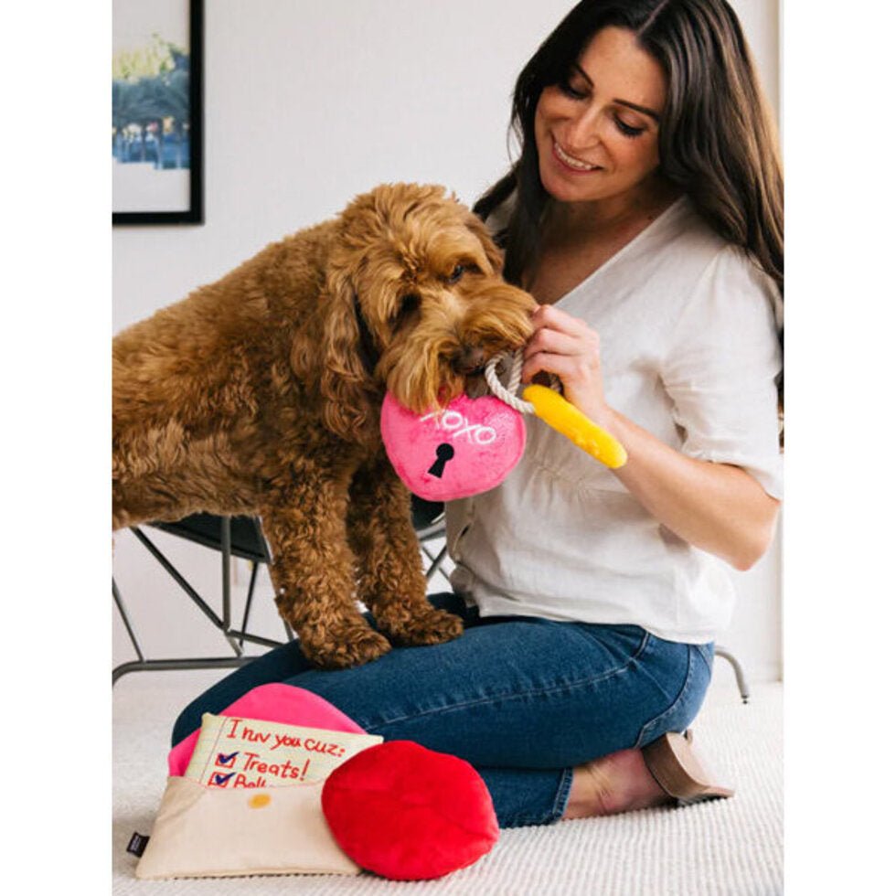 Peluche pour chien Love Bug Lettre d'amour 💌 - PET PLAY - DOG DéliCAT