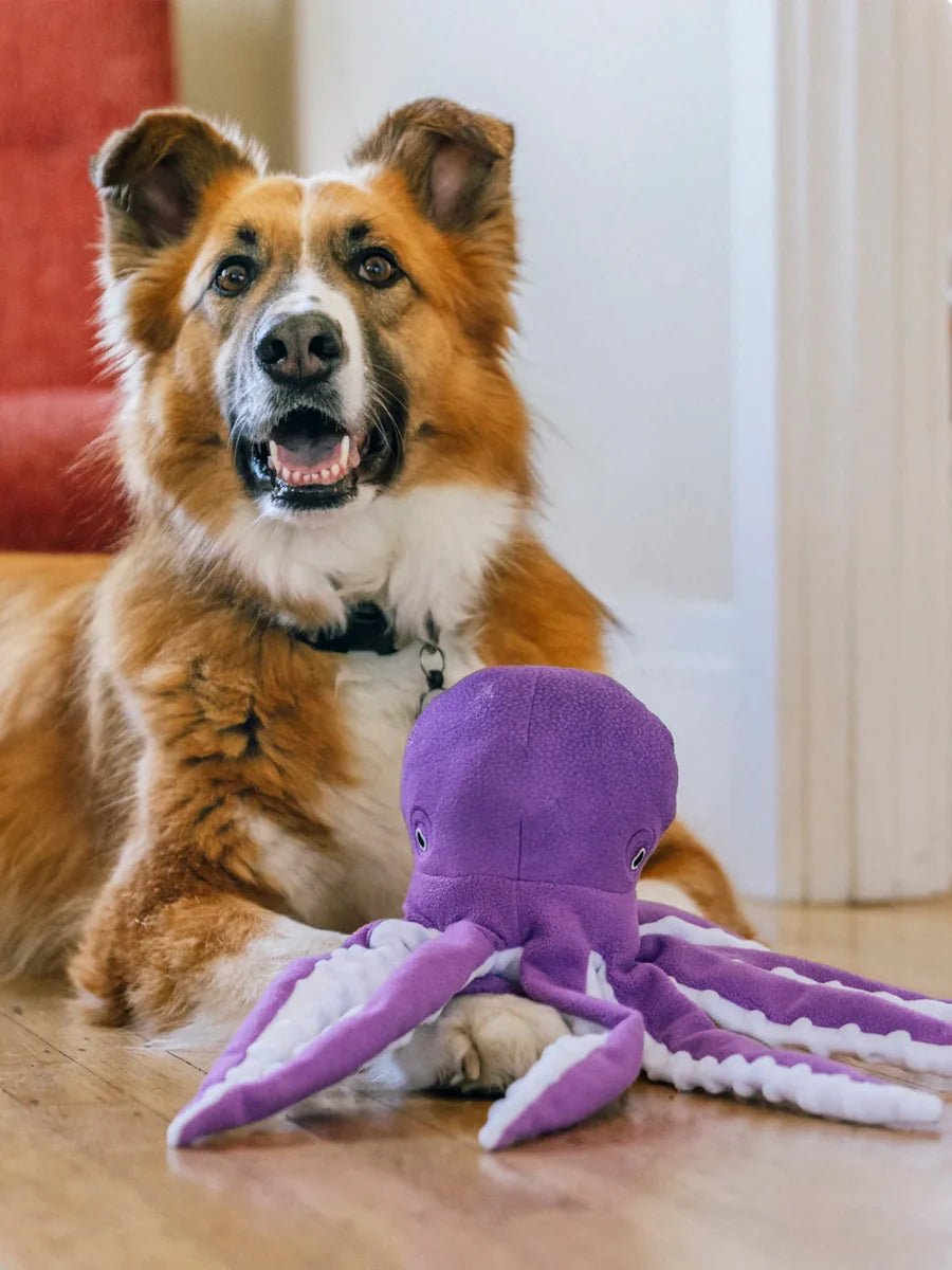 Peluche pour chien Pieuvre Ocean Buddies – Pet PLAY – DOG DéliCAT