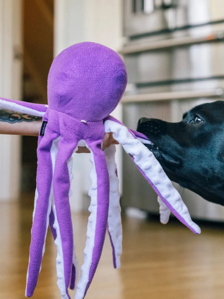 Peluche pour chien Pieuvre Ocean Buddies – Pet PLAY – DOG DéliCAT