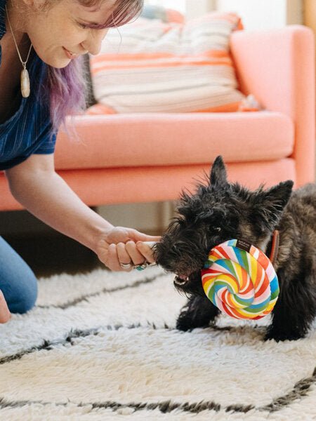 Peluche pour chien Snack Attack - Lollipup - PET PLAY - DOG DéliCAT