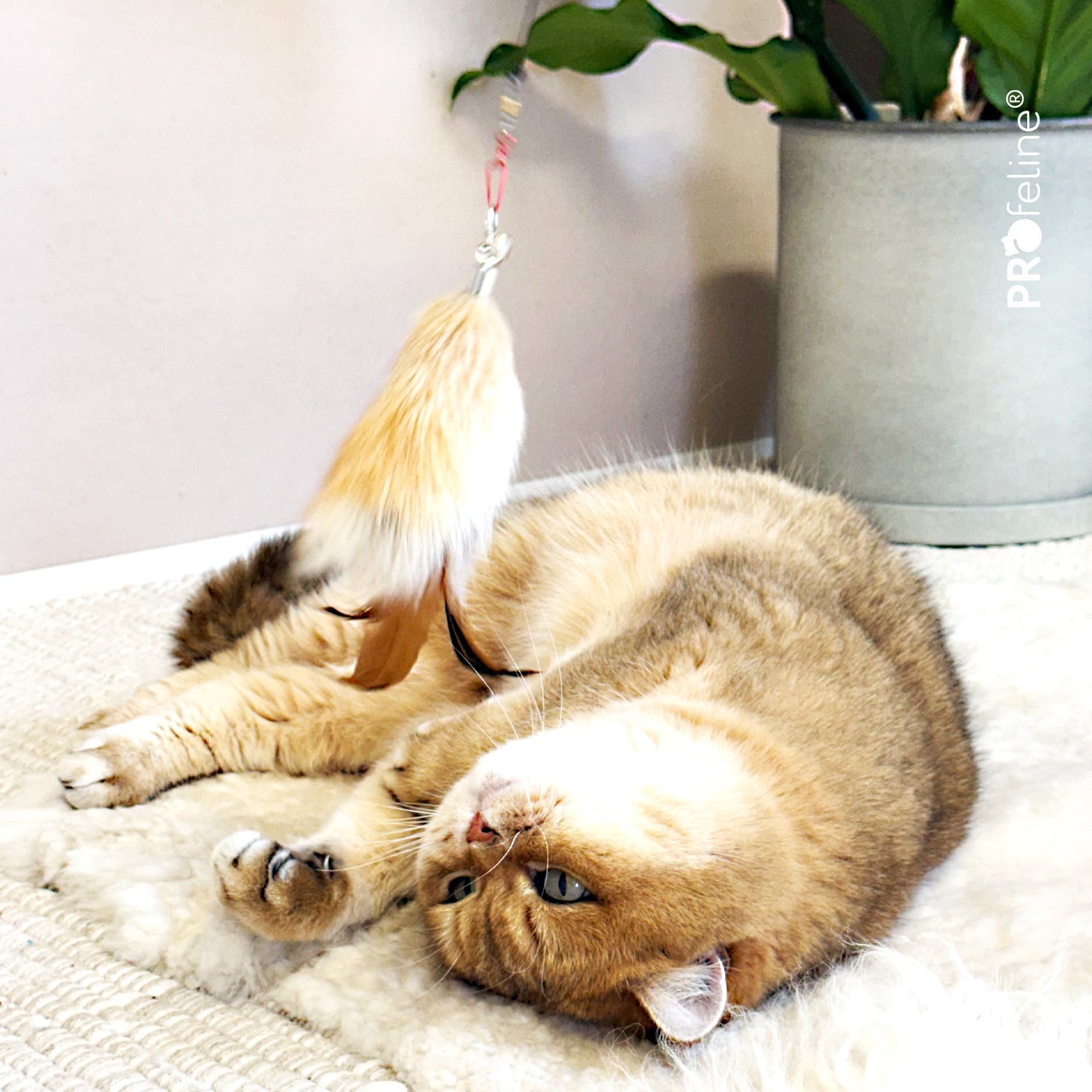 Pendentif pour canne à chat Fluffy – Fourrure de lapin et plumes - PROFELINE - DOG DéliCAT