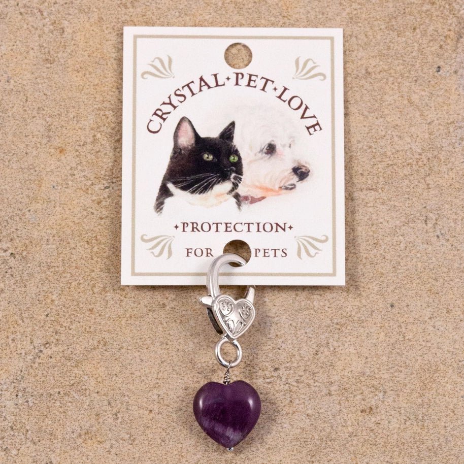 Pendentif protection chien & chat – Améthyste violette - CRYSTAL PET LOVE - DOG DéliCAT
