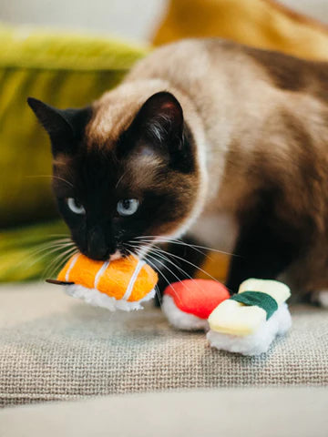 Jouet pour Chat Sushi - Herbe à Chat Biologique - Pet Play