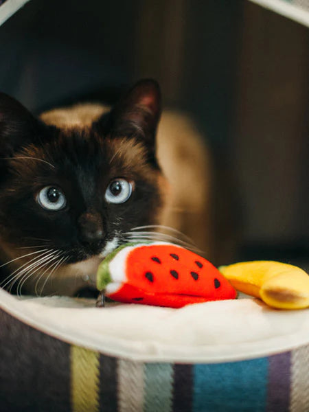 Lot de jouets pour chat à l'herbe à chat biologique en forme de banane et pastèque de Pet Play.