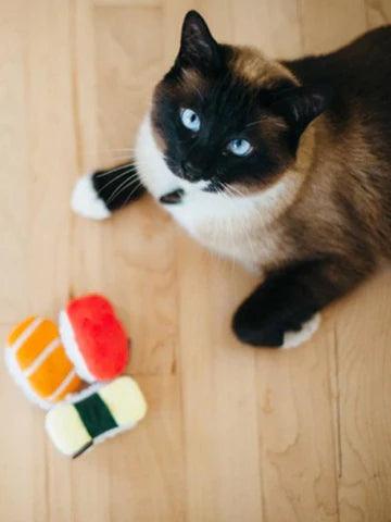 Stimulez le jeu de votre chat avec ces adorables sushis en peluche.