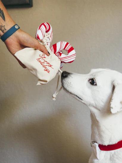 Peluche écologique pour chien PlanetFill sucres d’orge