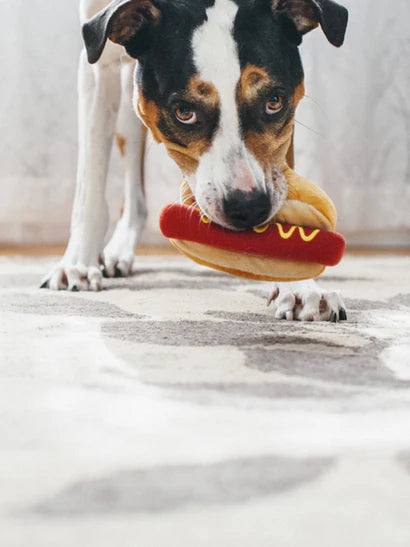 peluche hot dog chien papier sonore