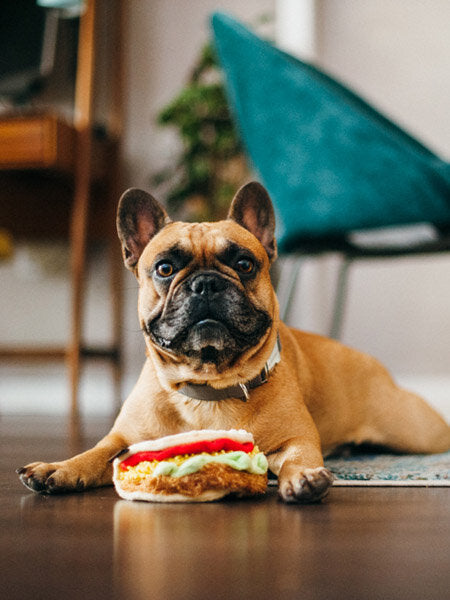 Jouet en peluche pour chien en forme de Tacos