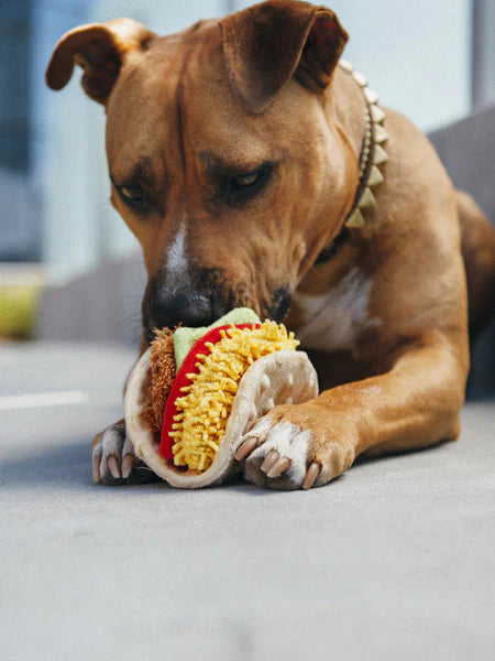 Jouet en peluche pour chien en forme de Tacos avec trois parties séparables 