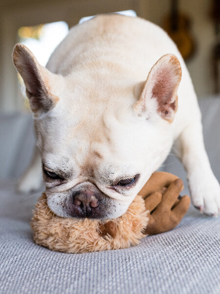 Jouet en peluche pour chien - Willow's Mythical - Rennes de Noël