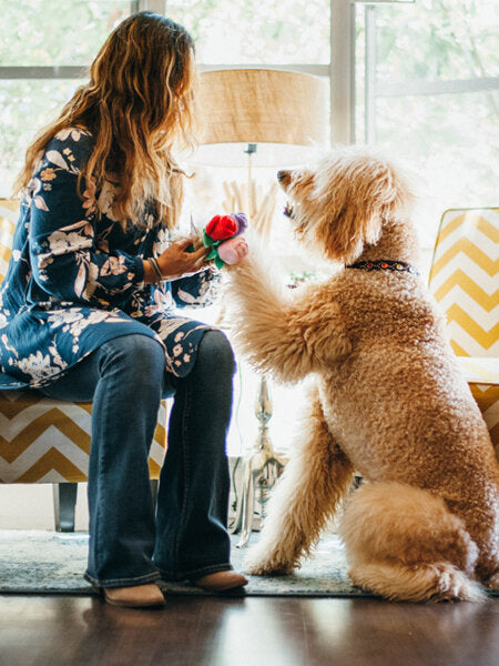 Jouet en peluche pour chien Puppy Love Bouquet de fleurs écologique et ludique