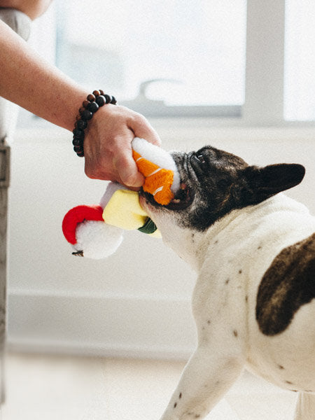 Jouet en peluche pour chien en forme de trois Sushi reliés par une corde