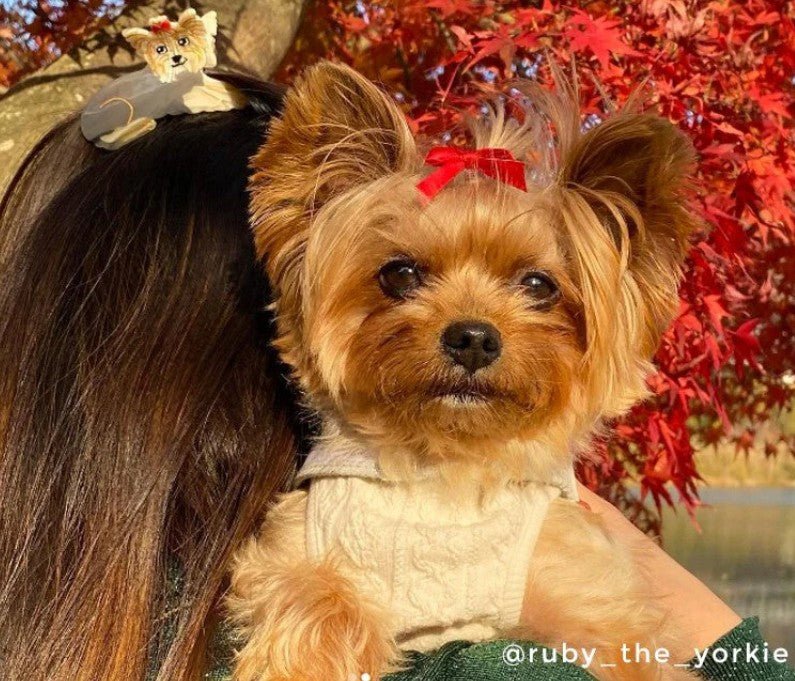 Pince à cheveux Yorkshire – L’accessoire chic & espiègle - COUCOU SUZETTE - DOG DéliCAT