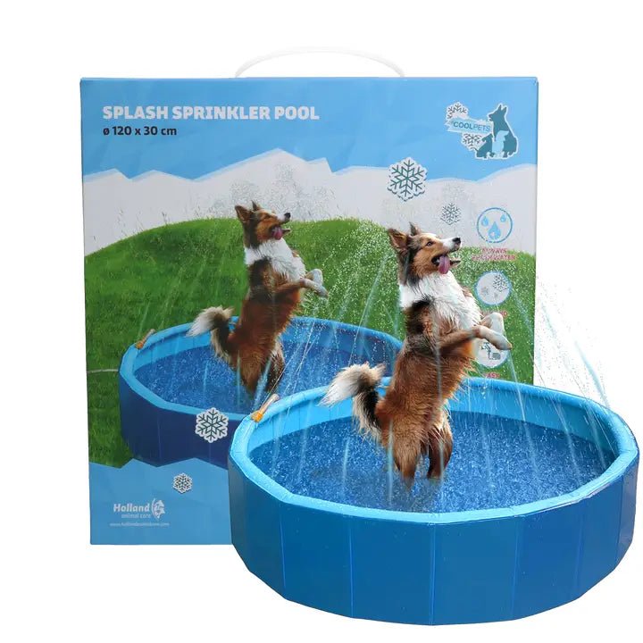 Piscine à éclaboussures pour chien Coolpets avec arroseur – Hofman Animal Care – DOG DéliCAT