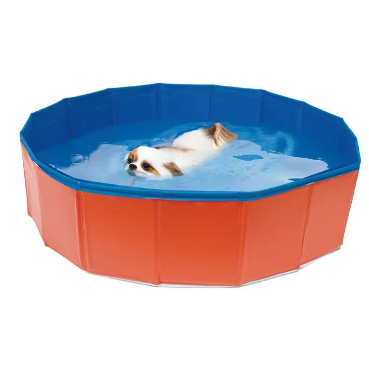 Piscine pliable pour chien Croci – Fraîcheur été orange/bleu - CROCI - DOG DéliCAT