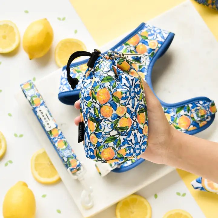 Pochette à friandises pour chien Amalfi Lemon CocoPup London – CocoPup London – DOG DéliCAT  
