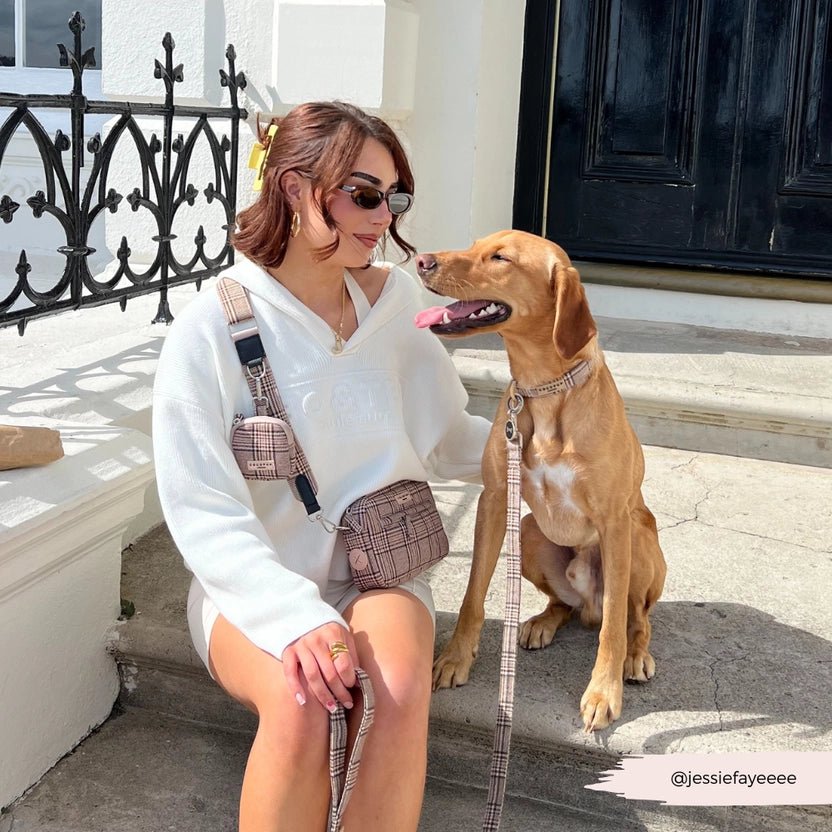 Pochette à friandises Pup Plaid – chic & compacte Cocopup - COCOPUP LONDON - DOG DéliCAT