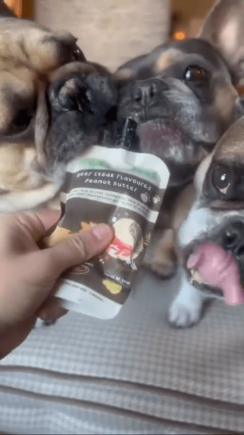 Pochette de beurre de cacahuète pour chien Meaty Licks – Apex Pet Products – DOG DéliCAT