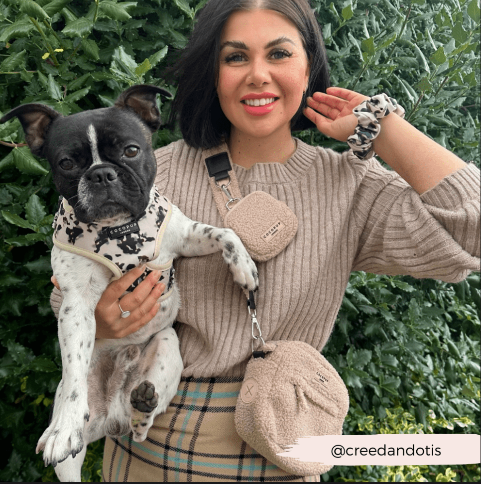 Pochette friandises chien Teddy Rupert – chic & pratique - COCOPUP LONDON - DOG DéliCAT