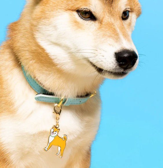 Porte - clé Shiba – Médaille espiègle & élégante - COUCOU SUZETTE - DOG DéliCAT